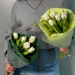 5 шт. Белые, Ветки Форзиции, цветная упаковка